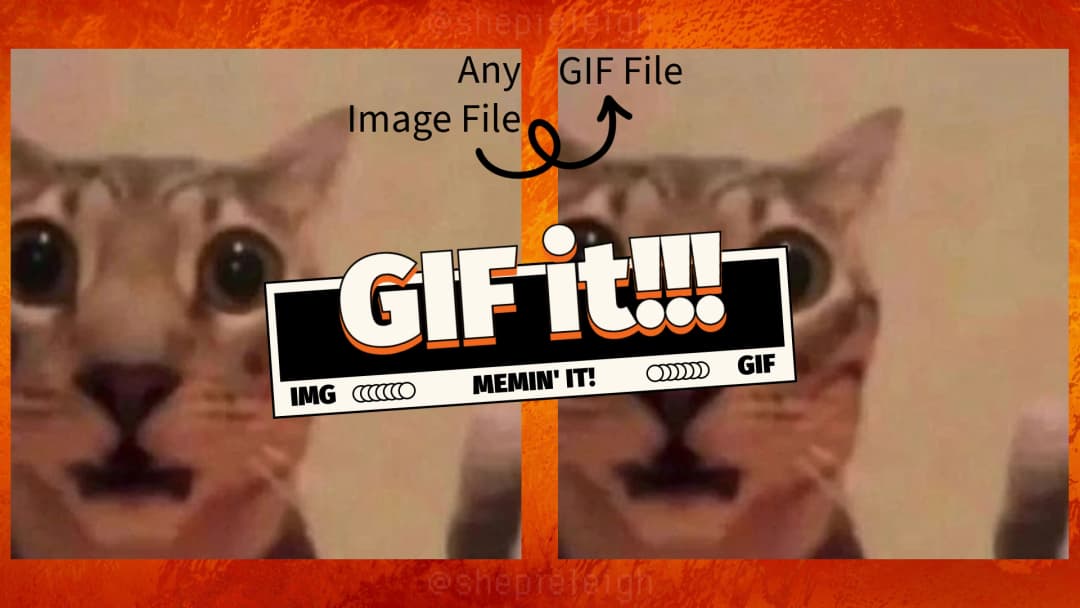 GIF Converter